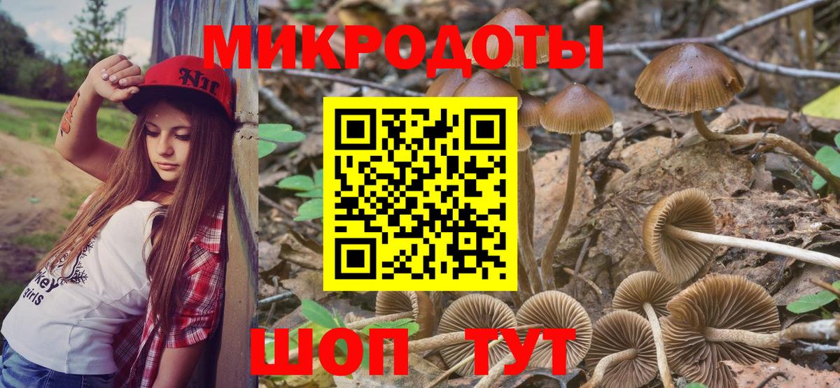 Псилоцибиновые грибы Cubensis  Галлюциногенные грибы ЛСД  Борзя  Вход с VPN 